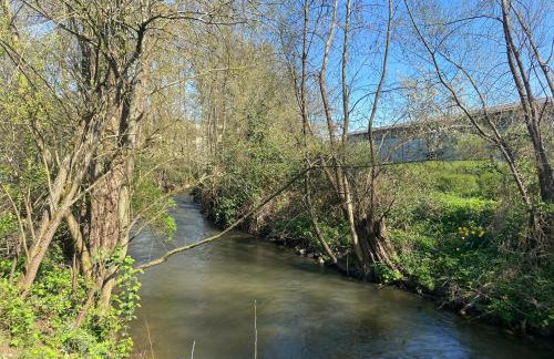 Ferienwohnung am Erbacher Mümlingufer - Foto 18