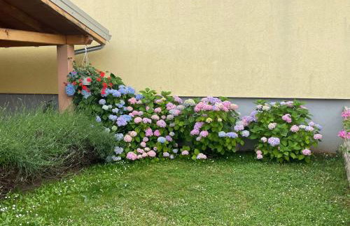 Apartments Dora - Foto 51