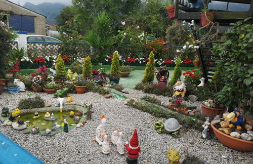 Apartamentos La Tarazana - Foto 11