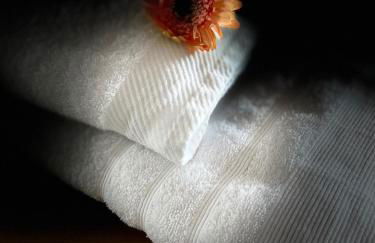 Gîtes de charme "l'écrin de Vendée" jacuzzi privatif, piscine chauffée, prestations bien être, vélos à 10 mn de l'océan sur 3,5 h de verdure - Photo 31