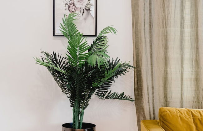 Lakecroft - Photo 60