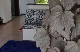 Recanto J&R - Foto 24