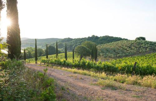 Agriturismo Poggio Corbello - Foto 92