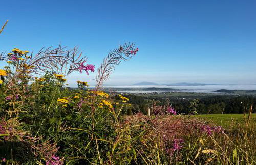 Panorama Chalet - Foto 59