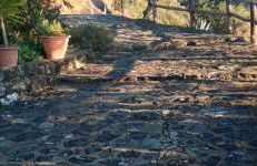 Cinqueterre National Park Sea view - Foto 22