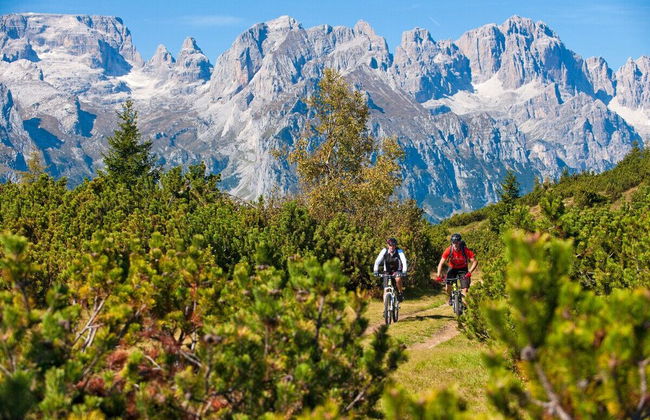 La Villa Dei Fiori - Photo 39