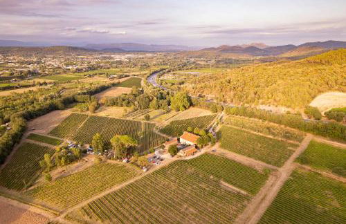 Gîte Mimosa au milieu des vignes - Château les Apiès - Foto 4