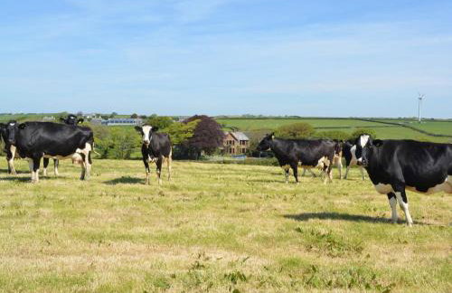 4 Bed in Bude oc-ssham - Foto 24