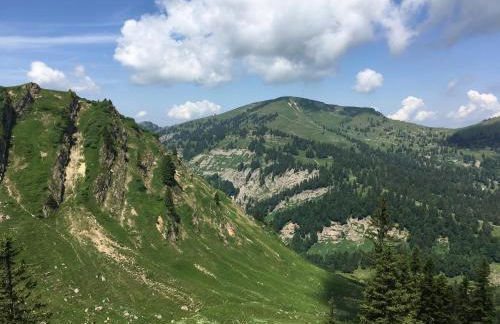 Ferienhof Wäldle - Wäldle 1 und Wäldle 2 mit Motorradvermietung - Photo 63