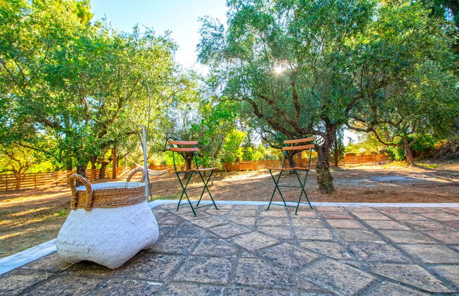 Doliva Estate - Foto 52