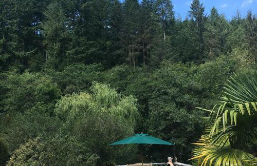 Romantic, secluded cottage in Cardinham Woods, Cornwall - Foto 16