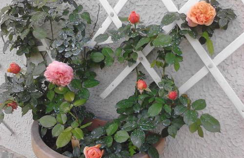 L'Erbetta fra le Cinque Terre e la Val di Vara - Photo 15