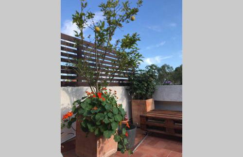 Casita blanca con fibra óptica y piscina cominutaria - Foto 16