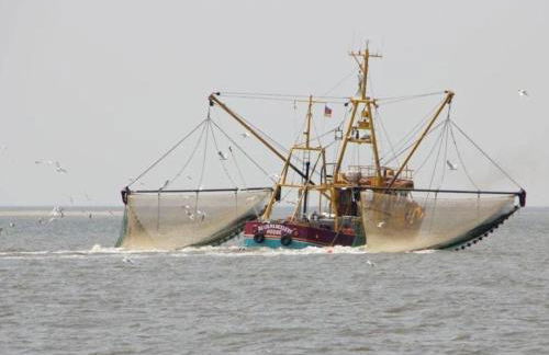 Holiday home with 2 bedrooms - Photo 22