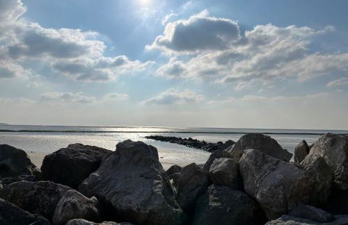 Pavillon d'Éole - Foto 56