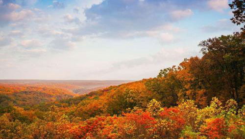 Buffalo Nickel - Foto 5