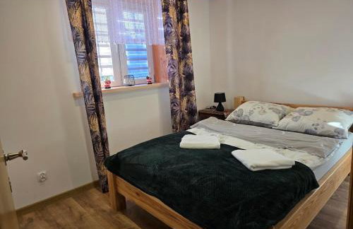 Jaśkowa Chata Bieszczady apartament z basenem nr 1i2 - Foto 8