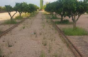 Casa da Aldeia - Foto 35