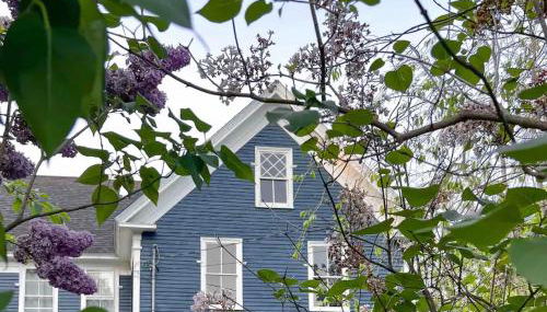 The Blueberry House - Spacious, Family & Pet-Friendly Retreat near Sebago Lake - Foto 2