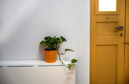 Maya Studio - Foto 16
