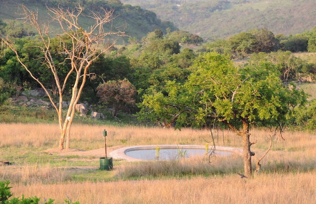 AtNature Luxury Self Catering Cottages - Foto 45