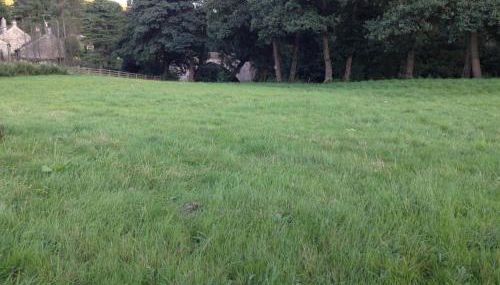 Kingfisher Lodge - Foto 2, Other