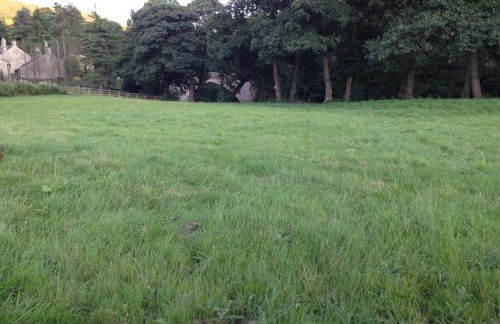 Kingfisher Lodge - Foto 2