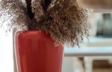 Le Petit Mazet près du golf - Foto 36