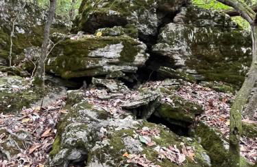 Caribou Cabin at Thunder Bluff - Foto 31