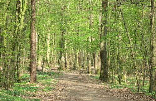 Ferien-Apartment Beller - Foto 64