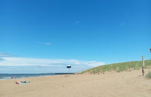 L'Olivier, appartement cosy entre mer et forêt - Foto 8