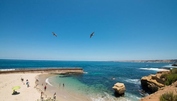 San Diego Seals Tour - Photo 3