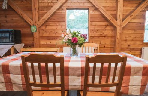 Agroturystyka Pod Modrzewiami - Foto 10