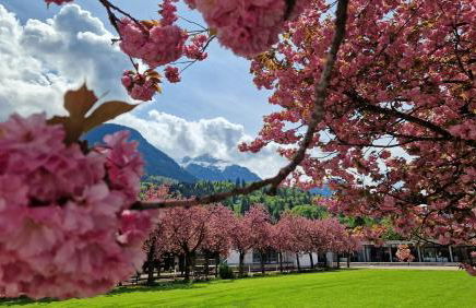 Haus Weidau - Foto 39