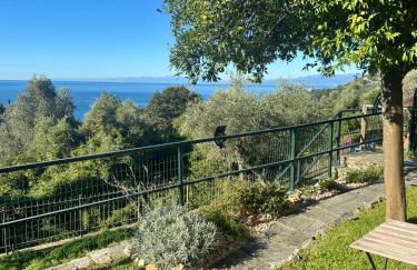 casa lella home - Foto 2