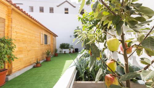 Live La Caleta Villa Clavijo - Foto 2, Garden, Garden view