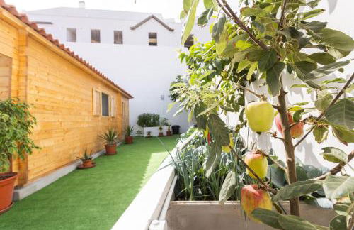 Live La Caleta Villa Clavijo - Foto 2