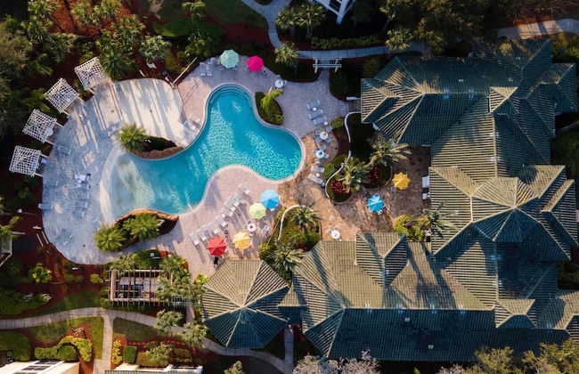 Dreamy Apartment Just 15 Minutes From Disney - Foto 32