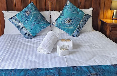 Penguin Retreat - Photo 3