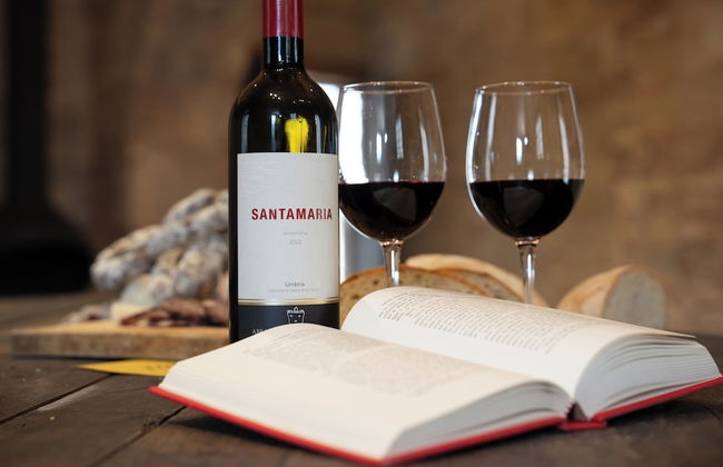 agriturismo Castel d'Alfiolo-Barcomonte - Foto 61