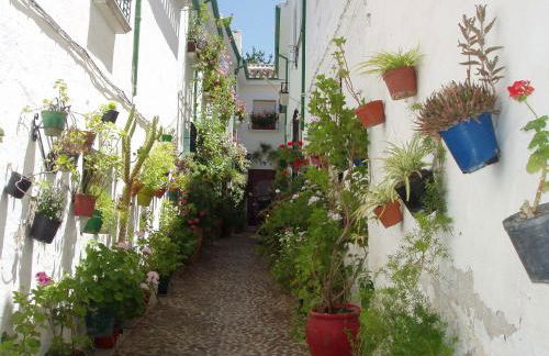 El Rincón de Carmen - Foto 140