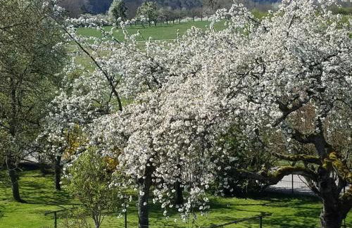 Sonnenhaus Oppenhausen - Foto 48