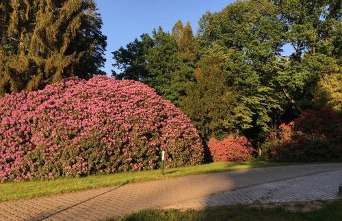 Ferienwohnung Am Grünbach 2 - Foto 10