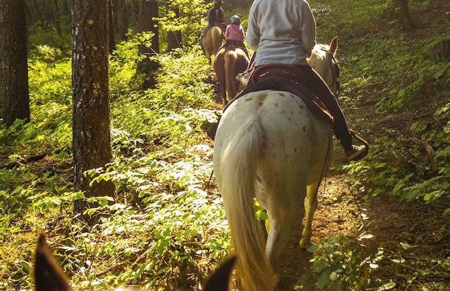 Out 'N' About Treehouse Treesort - Foto 56