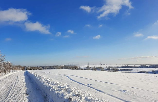 Ferienhaus mit Sauna & Spa, Huttenrode - Foto 43