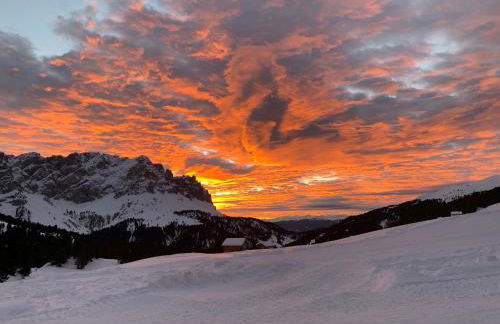 Les Contrades - Photo 42