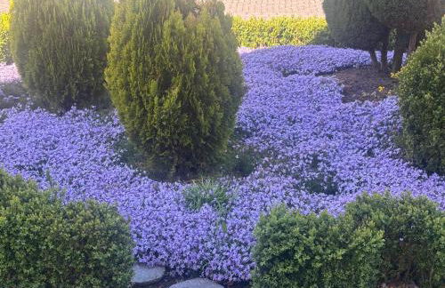 FeWo Track n Chill - Foto 19