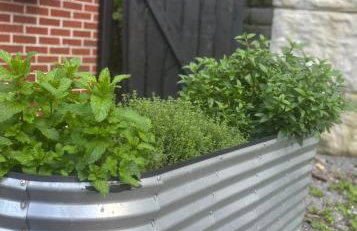 Park Ave Laurel Cove, Bell Theatre, ARH, Corbin Arena, & LMU - Foto 45