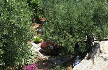 Villa Azzurra - casa vacanze - Foto 20