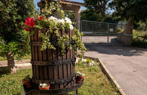 Cortile nel Conero - Foto 41